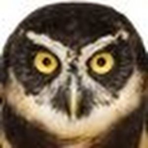 Meet your Posher, Steffi